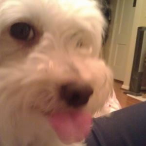 Meet your Posher, Carol